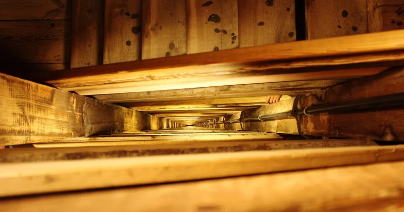 Quel est le meilleur bois pour un escalier intérieur ?