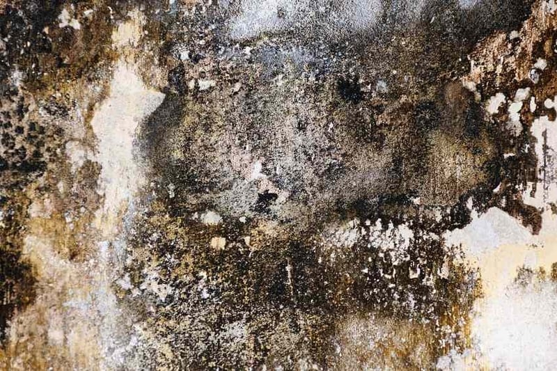 Quel enduit appliquer pour un mur irrégulier avant de peindre : le guide