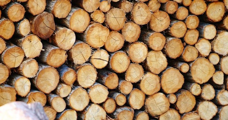 Comment entretenir un plan de travail en bois massif sans le ruiner